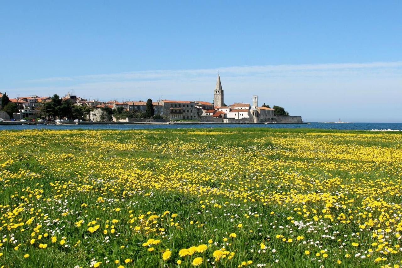 Villa Vita In Porec - Haus Fuer 6-8 Personen Kaštelir Eksteriør billede